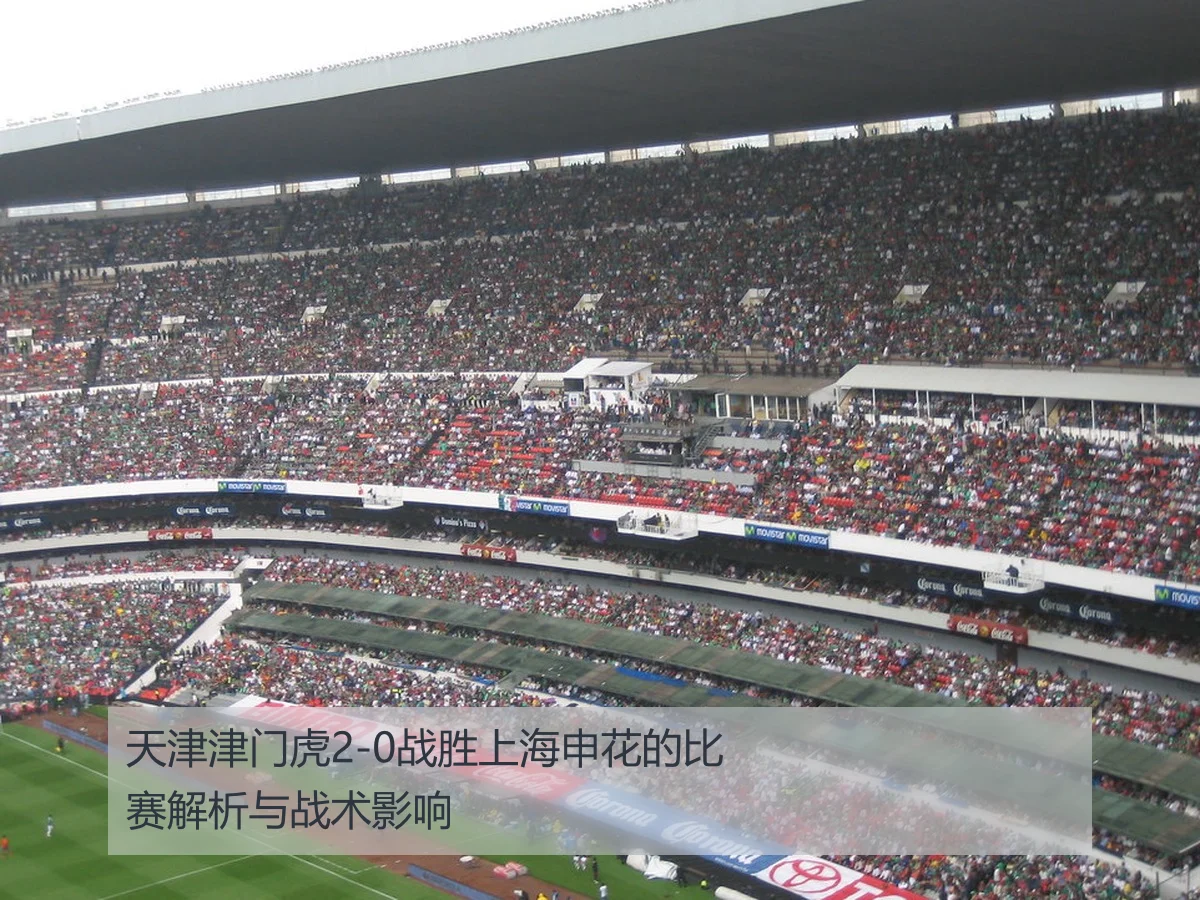 天津津门虎2-0战胜上海申花的比赛解析与战术影响